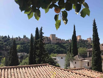 Visita privada à Alhambra e aos monumentos muçulmanos de Granada
